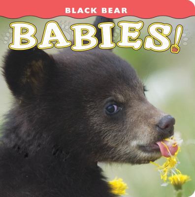 Black Bear Babies! 1560375183 Book Cover