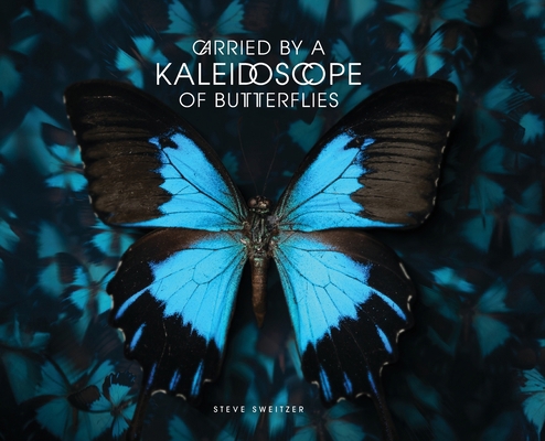 Carried by a Kaleidoscope of Butterflies            Book Cover