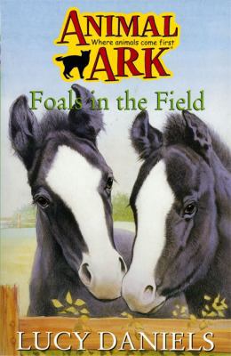 Animal Ark 28: Foals in the Field 0340699493 Book Cover
