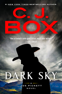 Dark Sky 0525538275 Book Cover