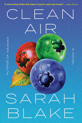 Clean Air 164375341X Book Cover