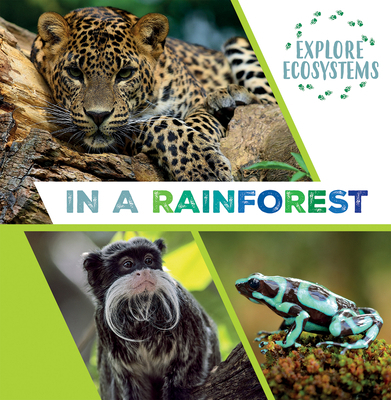 In a Rainforest 1482478706 Book Cover