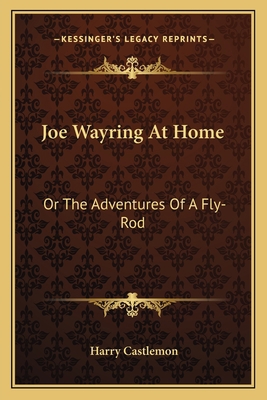 Joe Wayring At Home: Or The Adventures Of A Fly... 1163721298 Book Cover