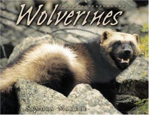 Wolverines B005Q6WMAO Book Cover