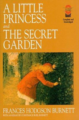 A Little Princess and the Secret Garden 076240115X Book Cover