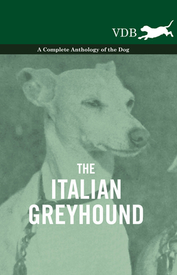 The Italian Greyhound - A Complete Anthology of... 1445527456 Book Cover