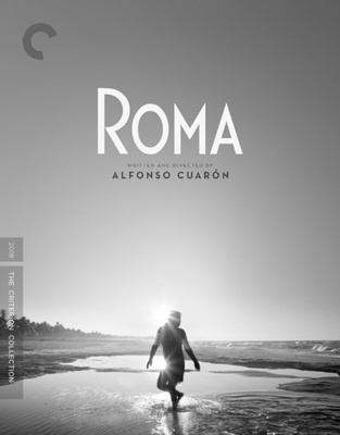 Roma [Spanish]            Book Cover