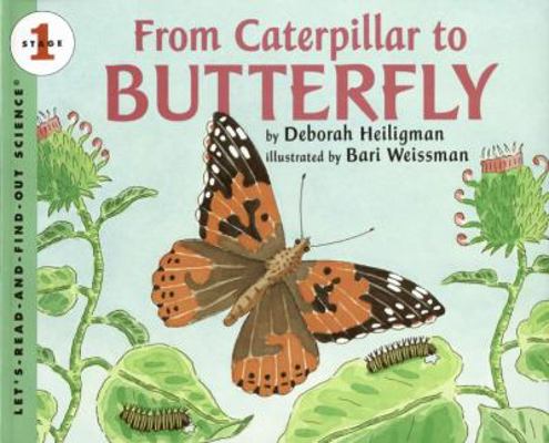 From Caterpillar to Butterfly 006111975X Book Cover