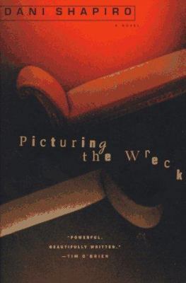 Picturing the Wreck 0452277698 Book Cover