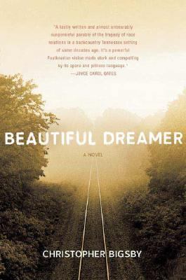 Beautiful Dreamer: A Novel 0312355831 Book Cover
