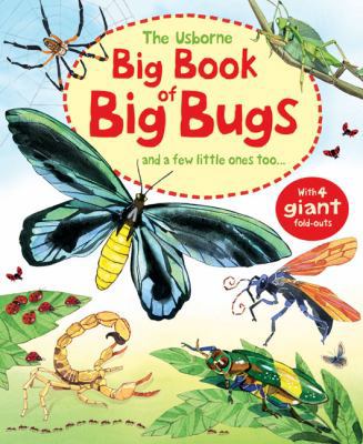 Big Book of Big Bugs. Emily Bone 1409532984 Book Cover