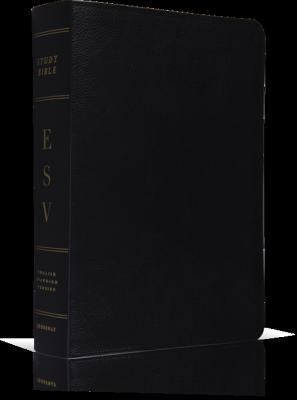 Student Study Bible-ESV 1433528657 Book Cover