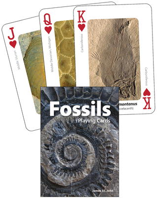 Fossils Playing Cards 1647555353 Book Cover