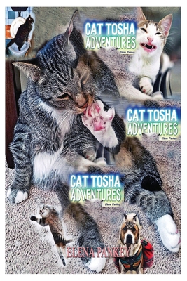 Cat Tosha Adventures: Fun Real Stories 1950311155 Book Cover