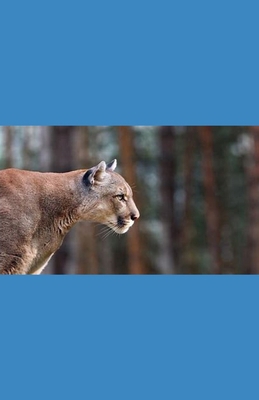 Edward's Choice B0F18H5LGZ Book Cover