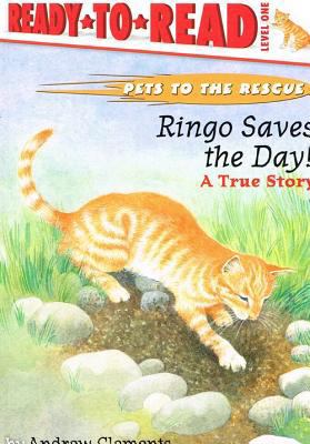 Ringo Saves the Day 0756933129 Book Cover