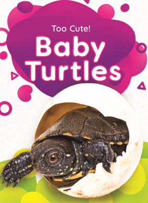 Baby Turtles B0GN69BYNQ Book Cover