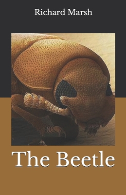 The Beetle B093MQK72L Book Cover