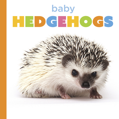 Baby Hedgehogs Book Cover