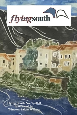 Flying South 2020 0578726017 Book Cover