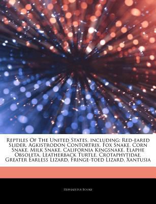 Reptiles of the United States, Including : Red-eared Slider, Agkistrodon Contortrix, Fox Snake, Corn Snake, Milk Snake, California Kingsnake, Elaphe Ob