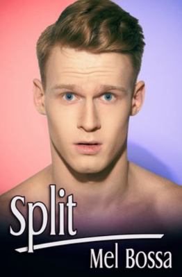 Split 1986006891 Book Cover