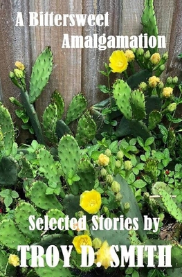 A Bittersweet Amalgamation: Selected Short Stories B08HGZK82S Book Cover