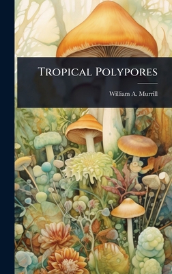 Tropical Polypores 1023660377 Book Cover