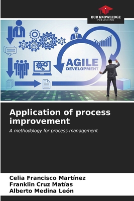 Application of process improvement 6207050746 Book Cover