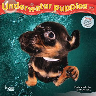 Underwater Puppies 2020 Mini 7x7 1975413016 Book Cover