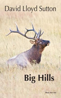 Big Hills 0692051724 Book Cover