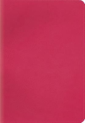 Kid's Compact Bible-ESV [Large Print] 1433543931 Book Cover