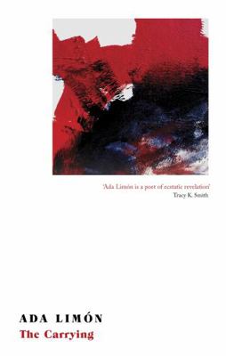 The Carrying            Book Cover