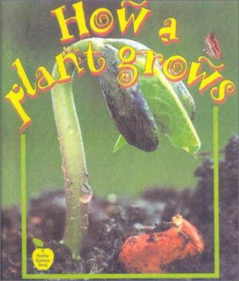 How a Plant Grows 061305170X Book Cover