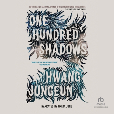 One Hundred Shadows B0DVY5SRX5 Book Cover