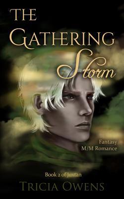 The Gathering Storm: Fantasy M/M Romance 1092177892 Book Cover