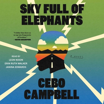 Sky Full of Elephants 1797182951 Book Cover