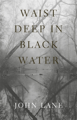 Waist Deep in Black Water 0820326216 Book Cover