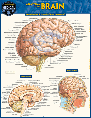 Brain: Quickstudy Laminated Reference Guide 1423233212 Book Cover