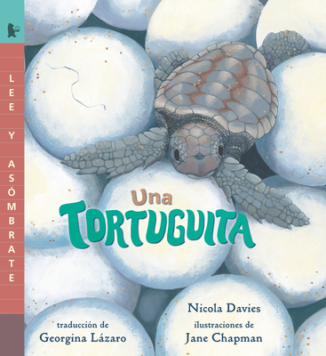 Una Tortuguita: Read and Wonder [Spanish] 1536234753 Book Cover
