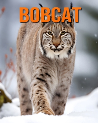 Bobcat: Fun and Fascinating Facts and Pictures ...            Book Cover