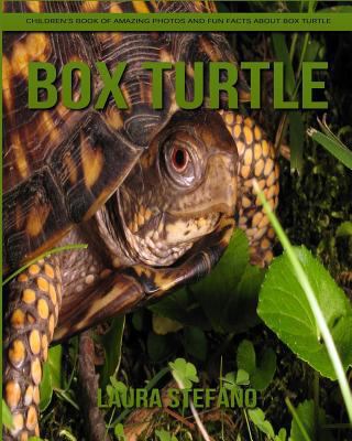 Box Turtle: Children's Book of Amazing Photos and Fun Facts about Box Turtle 1981367020 Book Cover