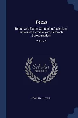 Ferns: British And Exotic: Containing Asplenium... 1377087956 Book Cover