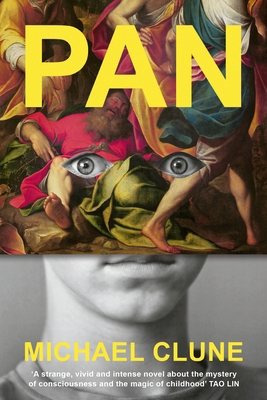 Fern Press Pan. 1911717618 Book Cover