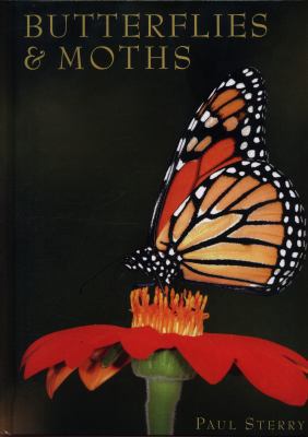 Butterflies & Moths 142223956X Book Cover