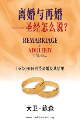 离婚与再婚⸺... [Chinese] 1913472426 Book Cover