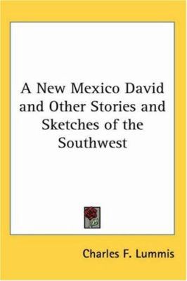 A New Mexico David and Other Stories and Sketch... 1417938528 Book Cover