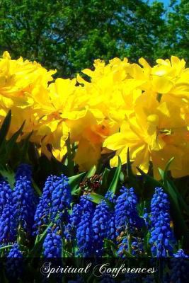 Spiritual Conferences 1477407774 Book Cover