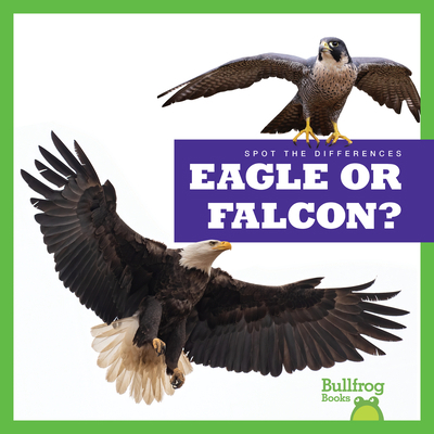 Eagle or Falcon? B0BGN8PWJX Book Cover