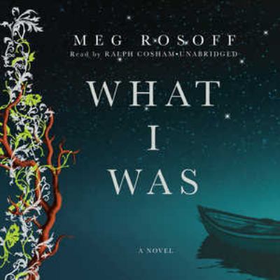 What I Was 1433208504 Book Cover
